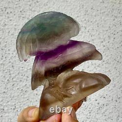 326G Natural beautiful fluorite crystal hand carving eagle Reiki healing