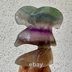 326G Natural beautiful fluorite crystal hand carving eagle Reiki healing