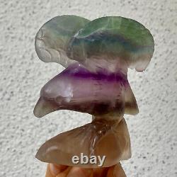 326G Natural beautiful fluorite crystal hand carving eagle Reiki healing