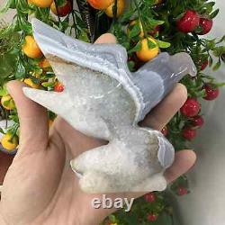 340g Natural Geode Agate Quartz Hand Carved Crystal Eagle Skull Reiki Gem Decor