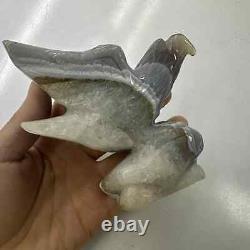 340g Natural Geode Agate Quartz Hand Carved Crystal Eagle Skull Reiki Gem Decor