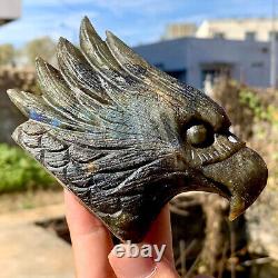 355G Rare natural Labrador crystal hand carved eagle therapy
