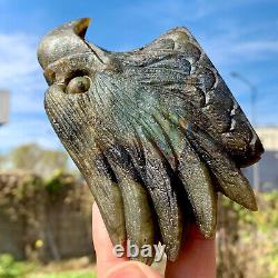 355G Rare natural Labrador crystal hand carved eagle therapy