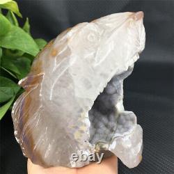 4.04LB Natural Agate geode quartz lion skull Hand Carved Crystal healing MTC475