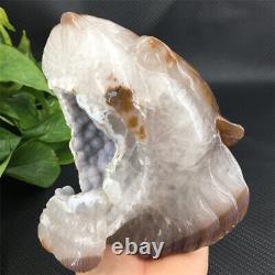 4.04LB Natural Agate geode quartz lion skull Hand Carved Crystal healing MTC475