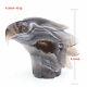 4.2 Natural Geode Agate Hand Carved Eagle Head Skull, Realistic, Crystal Healing