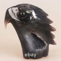 4.3 Natural Geode Agate Quartz Crystal Hand Carved Eagle Head Animal 663g