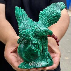 4.36LB Rare Natural Malachite quartz hand Carved Crystal, Reiki, Eagle