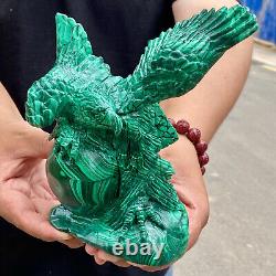 4.36LB Rare Natural Malachite quartz hand Carved Crystal, Reiki, Eagle