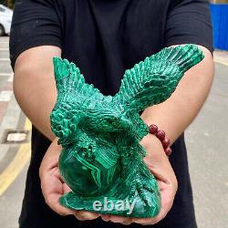 4.36LB Rare Natural Malachite quartz hand Carved Crystal, Reiki, Eagle