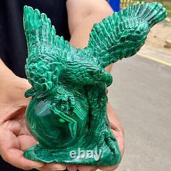 4.36LB Rare Natural Malachite quartz hand Carved Crystal, Reiki, Eagle