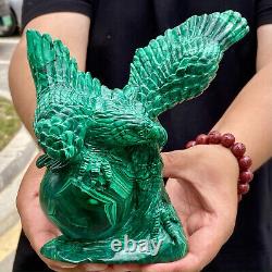 4.36LB Rare Natural Malachite quartz hand Carved Crystal, Reiki, Eagle