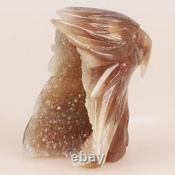 4.4 Natural Geode Agate Quartz Crystal Hand Carved Eagle Head Animal 521g