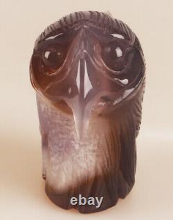 4.5 Natural Geode Agate Quartz Crystal Hand Carved Eagle Head Animal 500g