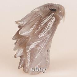 4.6 Natural Geode Agate Quartz Crystal Hand Carved Eagle Head Animal 612g