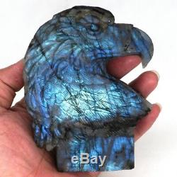 4.6 Natural Labradorite Crystal Hand-Carved Eagle Head Statue Craft Home Decor