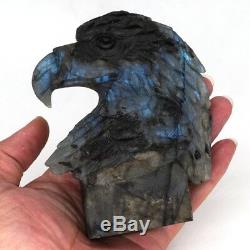 4.6 Natural Labradorite Crystal Hand-Carved Eagle Head Statue Craft Home Decor