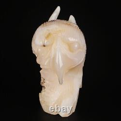 4.7 Natural Geode Agate Quartz Crystal Hand Carved Eagle Head Animal 626g