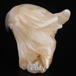 4.7 Natural Geode Agate Quartz Crystal Hand Carved Eagle Head Animal 626g