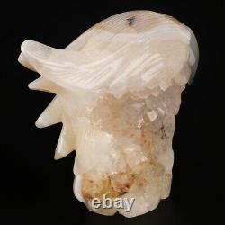 4.7 Natural Geode Agate Quartz Crystal Hand Carved Eagle Head Animal 626g