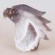 4.7 Natural Geode Agate Quartz Crystal Hand Carved Eagle Head Animal 713g