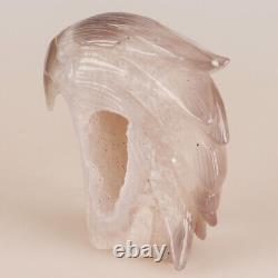 4.7 Natural Geode Agate Quartz Crystal Hand Carved Eagle Head Animal 802g