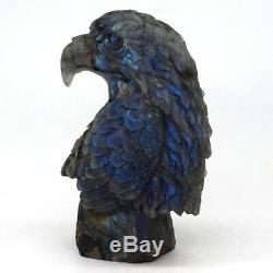 4.8 Natural Labradorite Crystal Hand-Carved Eagle Head Statue Craft Home Decor