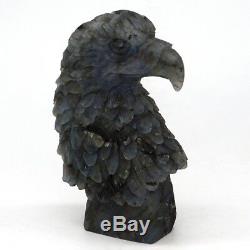 4.8 Natural Labradorite Crystal Hand-Carved Eagle Head Statue Craft Home Decor