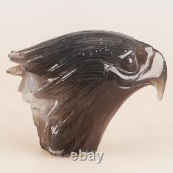 4.9 Natural Geode Agate Quartz Crystal Hand Carved Eagle Head Animal 543g