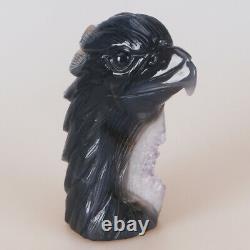 4.9 Natural Geode Agate Quartz Crystal Hand Carved Eagle Head Animal 656g
