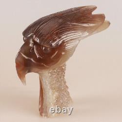 4.9 Natural Geode Agate Quartz Crystal Hand Carved Eagle Head Animal 694g