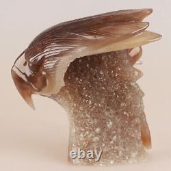 4.9 Natural Geode Agate Quartz Crystal Hand Carved Eagle Head Animal 694g