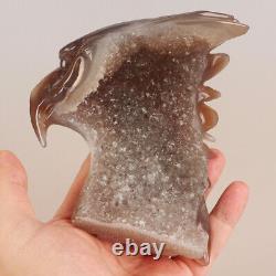 4.9 Natural Geode Agate Quartz Crystal Hand Carved Eagle Head Animal 694g