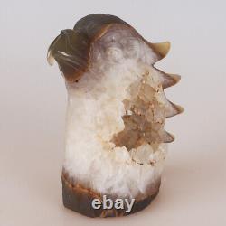 4.9 Natural Geode Agate Quartz Crystal Hand Carved Eagle Head Animal 789g