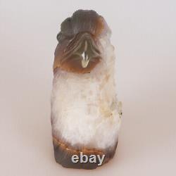 4.9 Natural Geode Agate Quartz Crystal Hand Carved Eagle Head Animal 789g