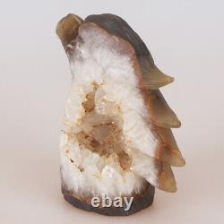 4.9 Natural Geode Agate Quartz Crystal Hand Carved Eagle Head Animal 789g