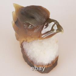 4.9 Natural Geode Agate Quartz Crystal Hand Carved Eagle Head Animal 789g