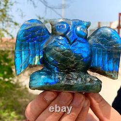 429g Rare Natural Labrador Crystal Handcarved eagle Therapy