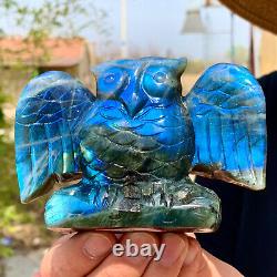 429g Rare Natural Labrador Crystal Handcarved eagle Therapy