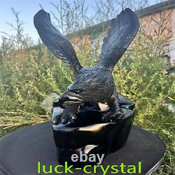 43.78LB Natural Obsidian Quartz Hand Carved Crystal Eagle Healing 1PC, HE12