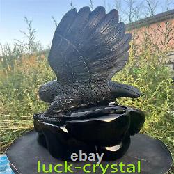 43.78LB Natural Obsidian Quartz Hand Carved Crystal Eagle Healing 1PC, HE12