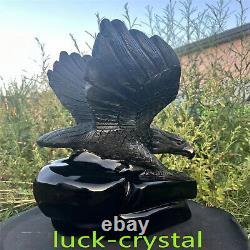 43.78LB Natural Obsidian Quartz Hand Carved Crystal Eagle Healing 1PC, HE12