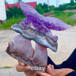 443G Natural Dream Amethyst Hand Carved Eagle Pattern Care