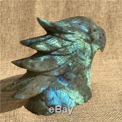 490g Natural Crystal Flash Labradorite Hand Carved Eagle Head Gift k2187 O