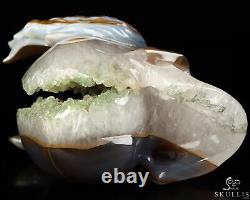 5.0 Premium Brazilian Agate Geode Hand Carved Crystal Skull and Eagle