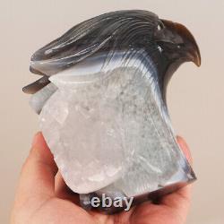5.1 Natural Geode Agate Quartz Crystal Hand Carved Eagle Head Animal 1112g