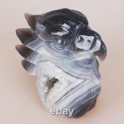 5.1 Natural Geode Agate Quartz Crystal Hand Carved Eagle Head Animal 768g
