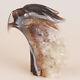 5.4 Natural Geode Agate Quartz Crystal Hand Carved Eagle Head Animal 882g