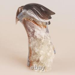 5.4 Natural Geode Agate Quartz Crystal Hand Carved Eagle Head Animal 882g