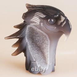 5.5 Natural Geode Agate Quartz Crystal Hand Carved Eagle Head Animal 763g